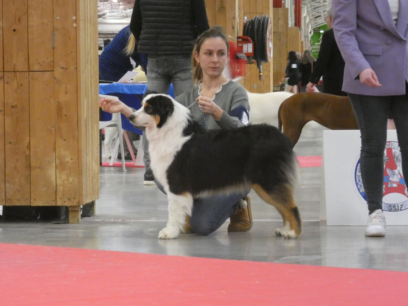 Abbi Des Gardiens De Tounfi