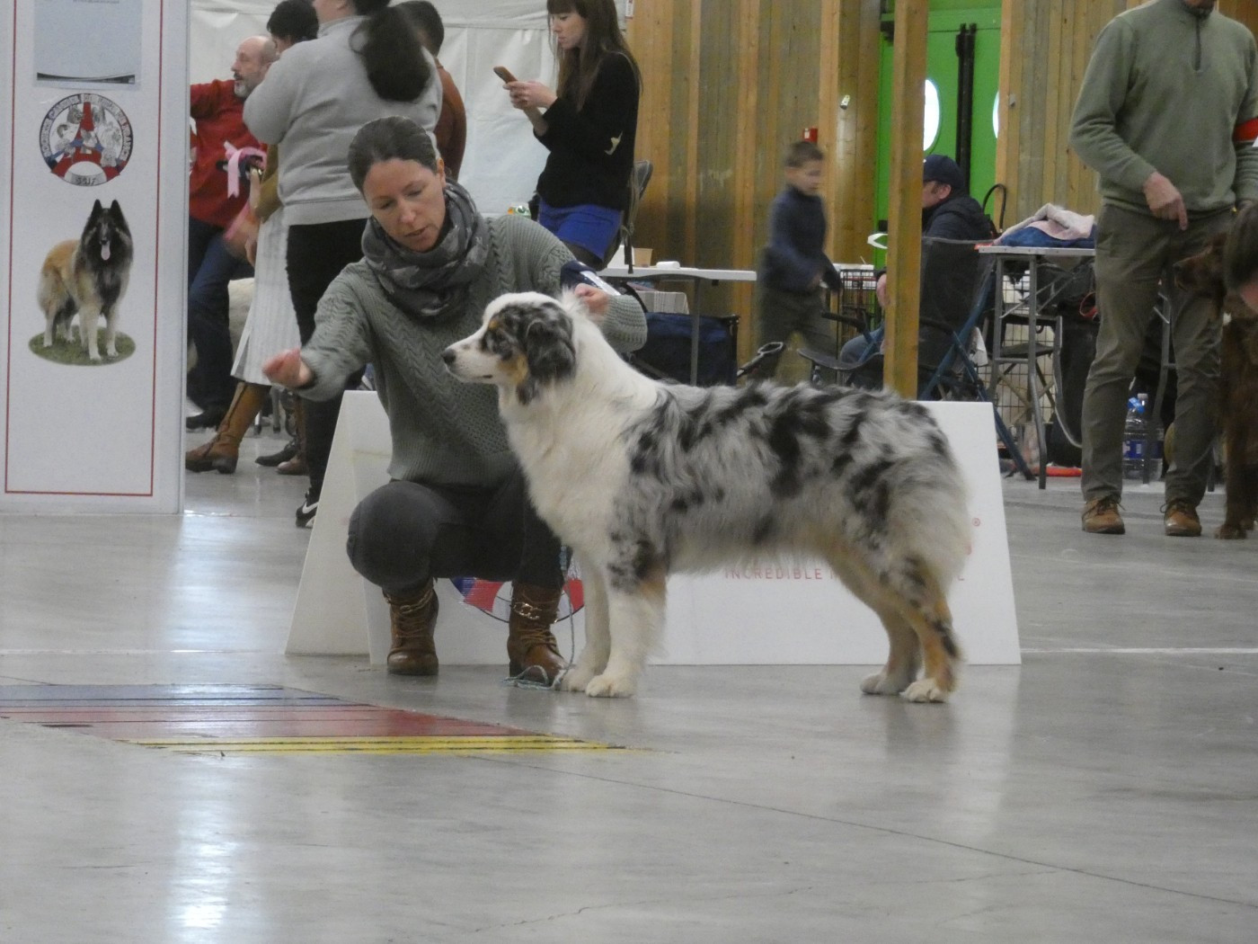 Aloy Des Gardiens De Tounfi